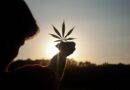 Cannabis Apotheke