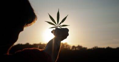 Cannabis Apotheke